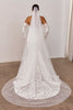 Sheer Drop Wedding Veil paired with lace wedding dress