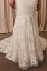 Close-up detailing of a lace wedding dress